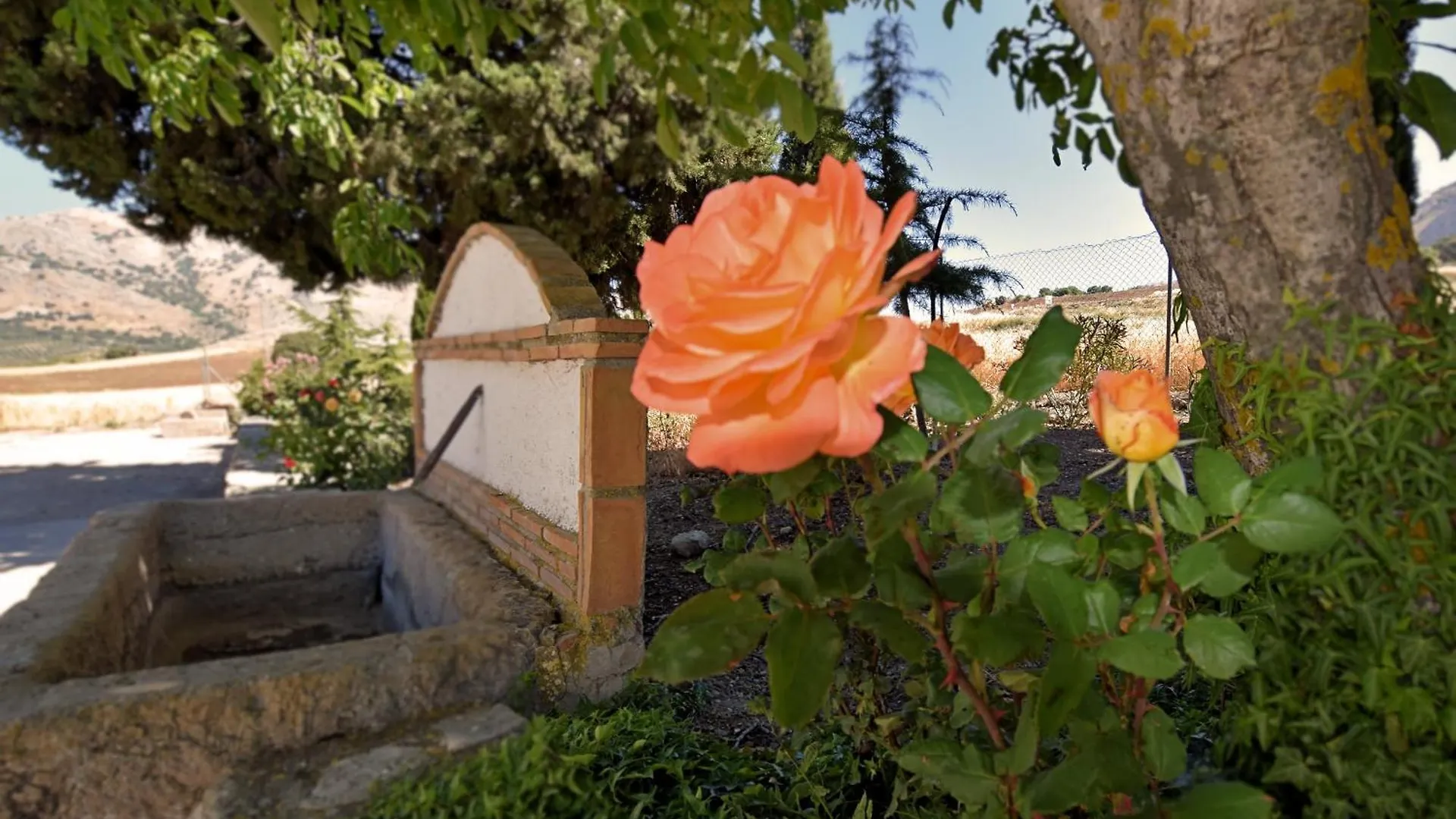 Holiday home Cortijo Los Alazores Loja Spain